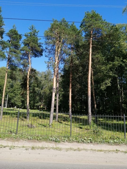 Тезинский парк