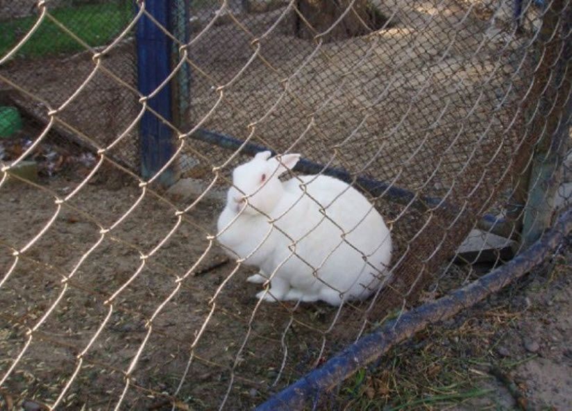 Зоопарк