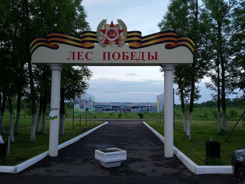 Лыжероллерная трасса «Лес Победы»