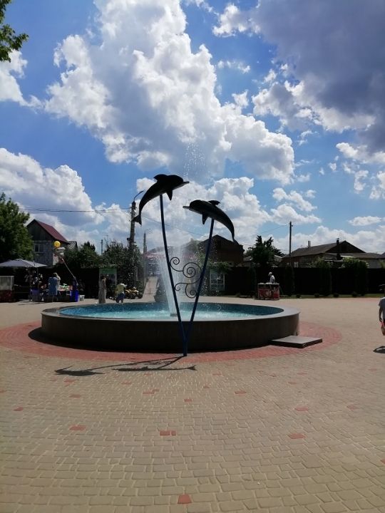 Городской парк культуры и отдыха