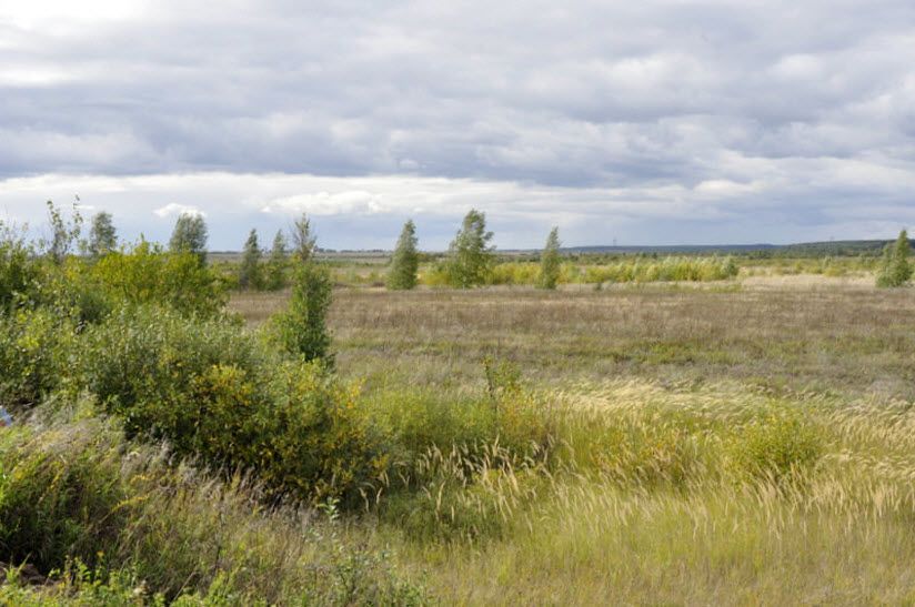 Курганный могильник Исады