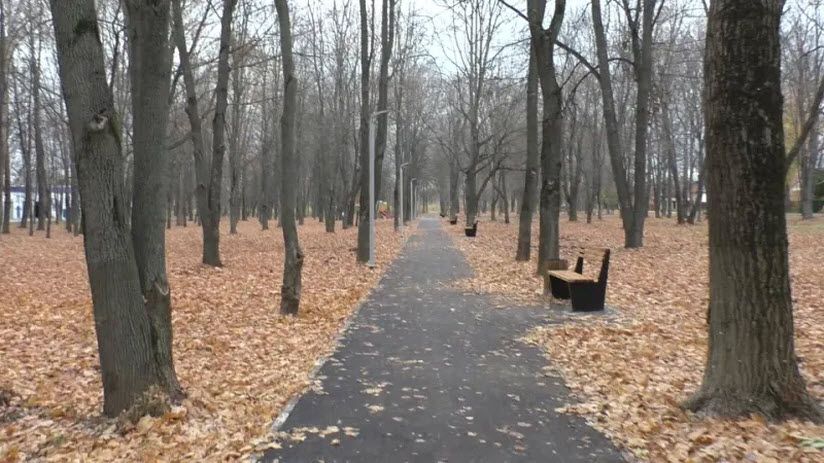 Комсомольский парк