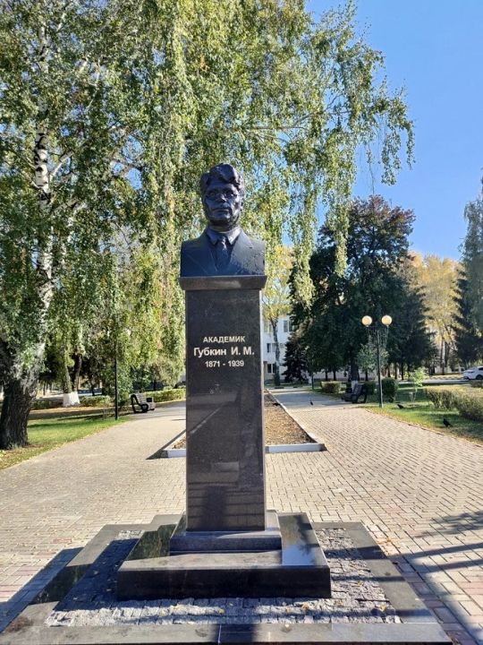 Памятник И.М. Губкину