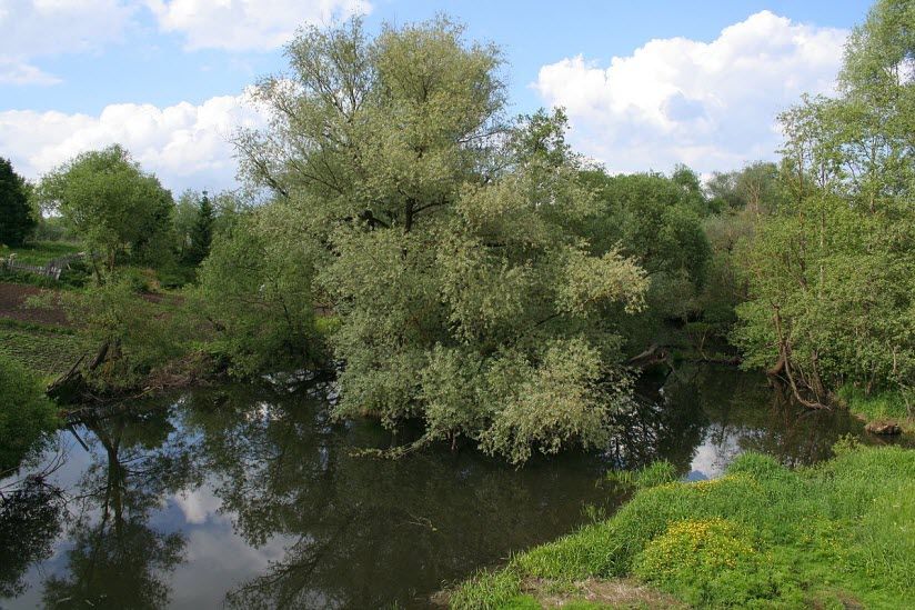 Река Медынка