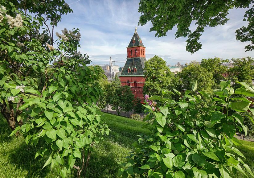 Тайницкий сад