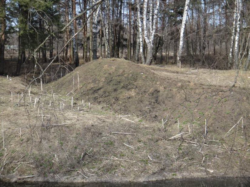 Славянское городище у с. Растуново