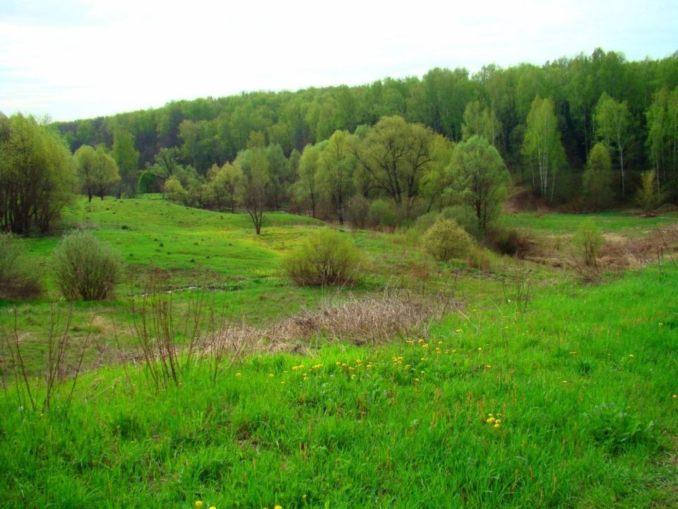 Долина грез