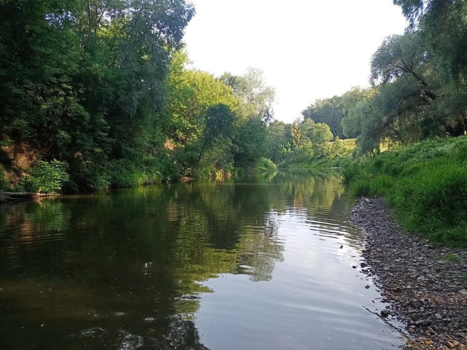Река Таруса