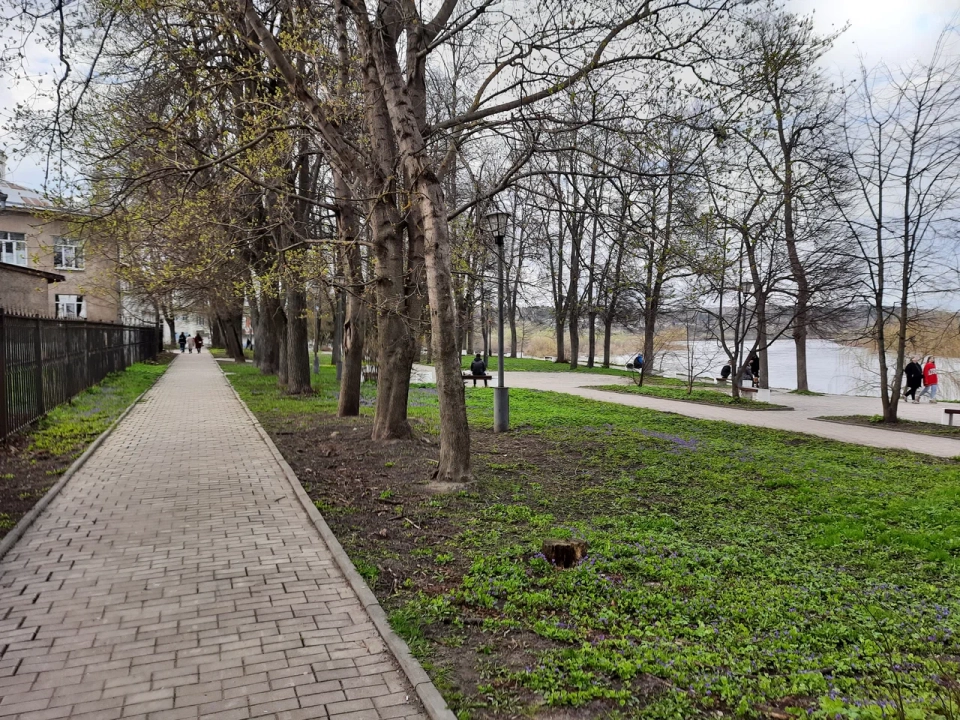 Городской сад