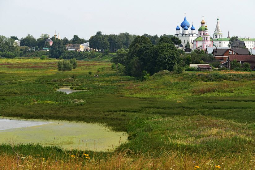 Заказник Ильинский луг