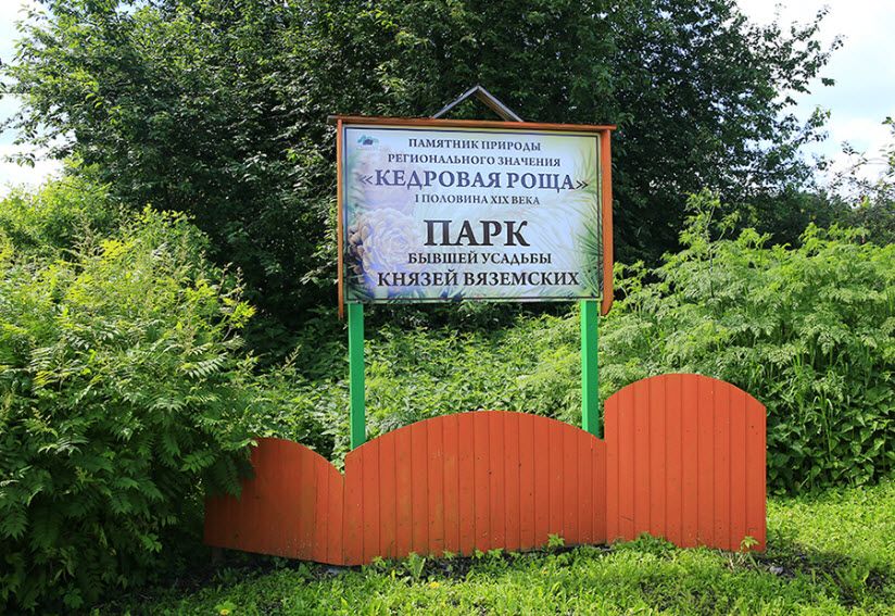 Памятник природы Кедровая роща