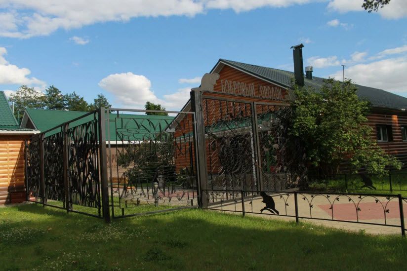 Интерактивный музей Дом Бобра в Госзаповеднике