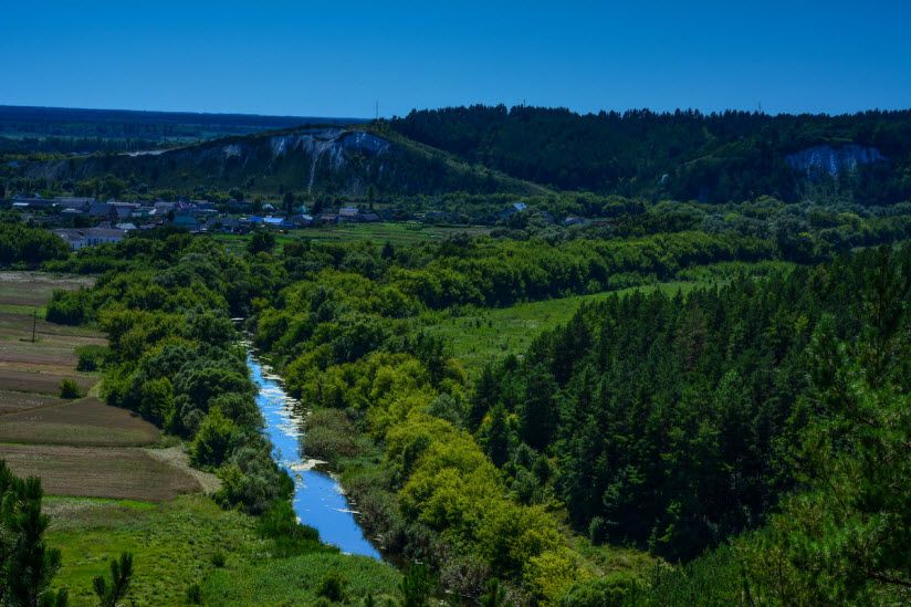 Бекарюковский бор