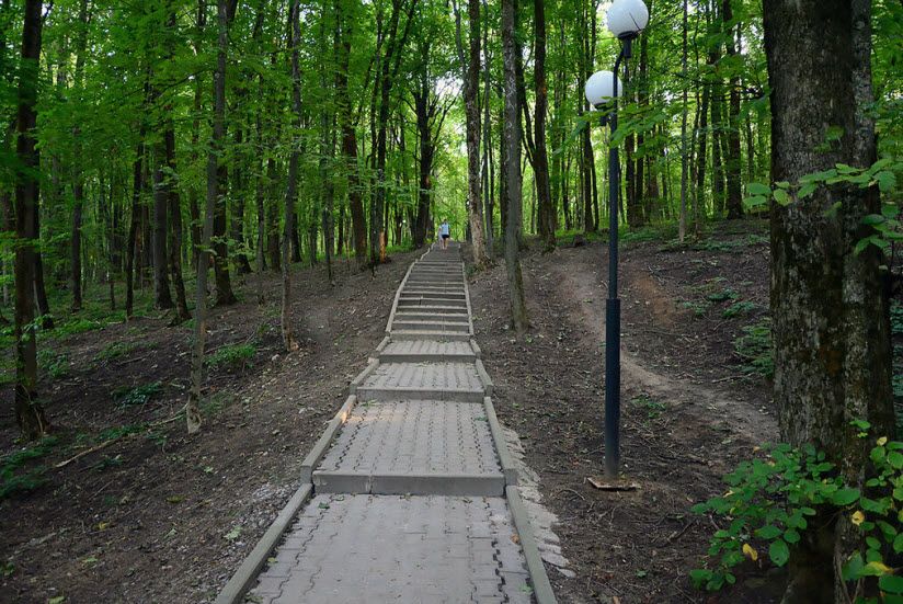Монастырский лес
