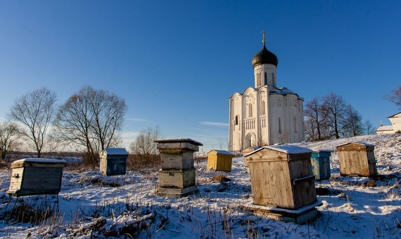 Пасека у церкви Покрова-на-Нерли