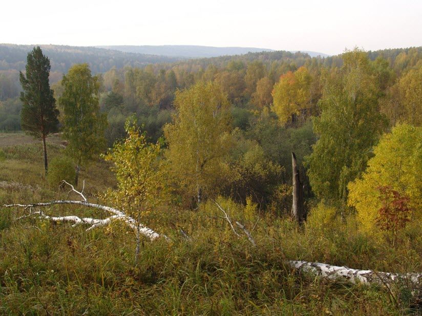 Заказник Клетнянский