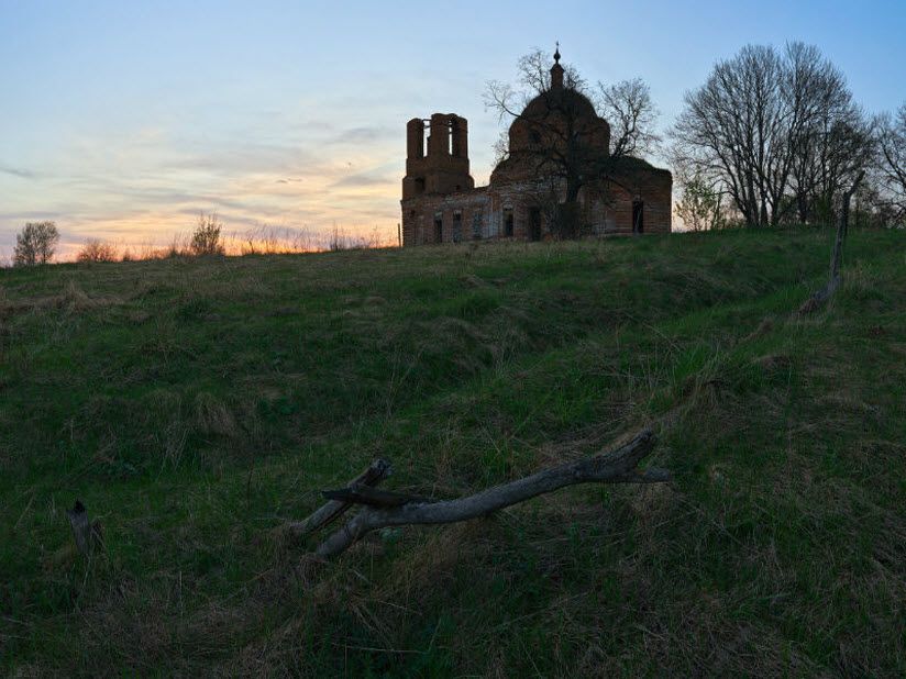 Курганы в селе Елисеевичи