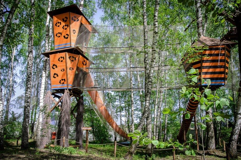 Парк приключений «Дикие белки»
