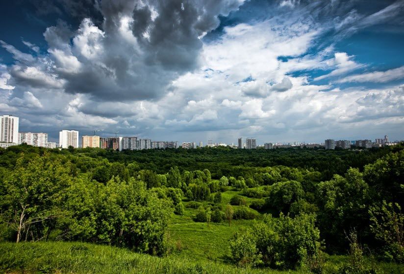 Сходненская Чаша