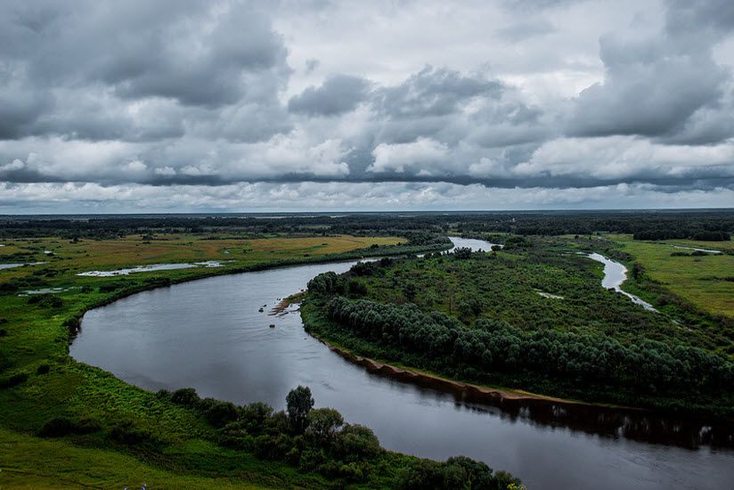 Клязьминский заказник