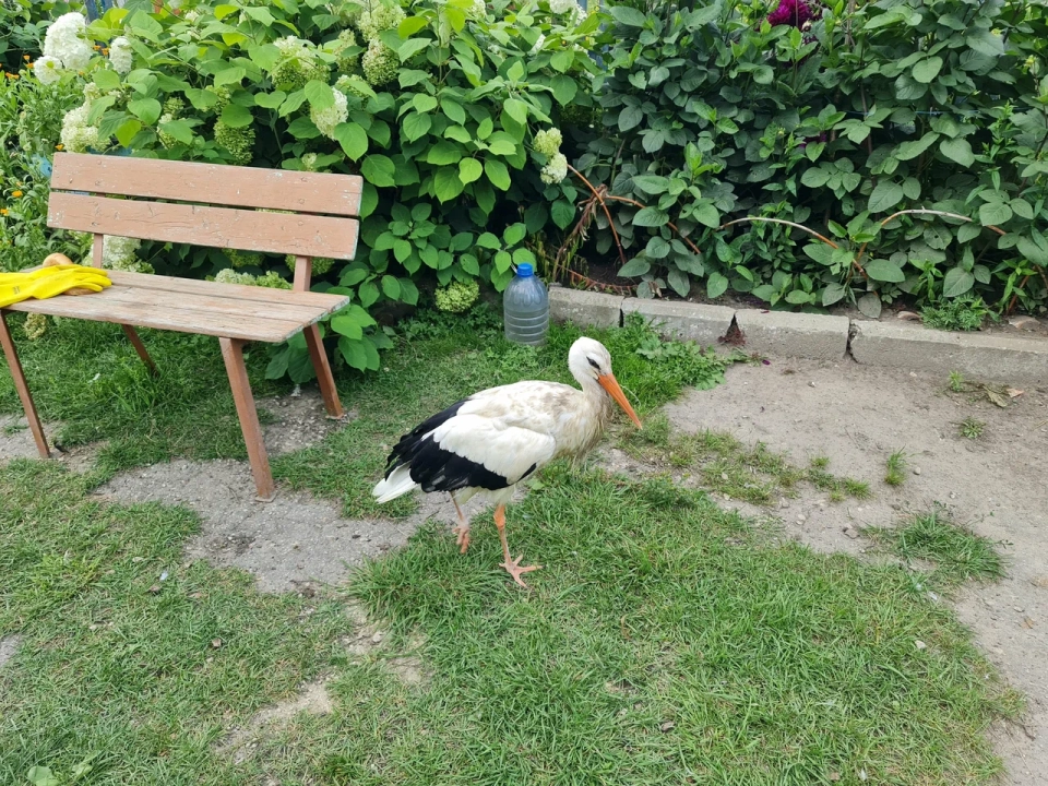 Дом природы