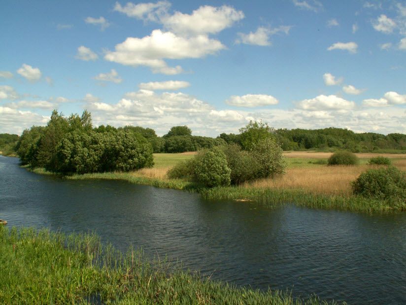 Река Псел