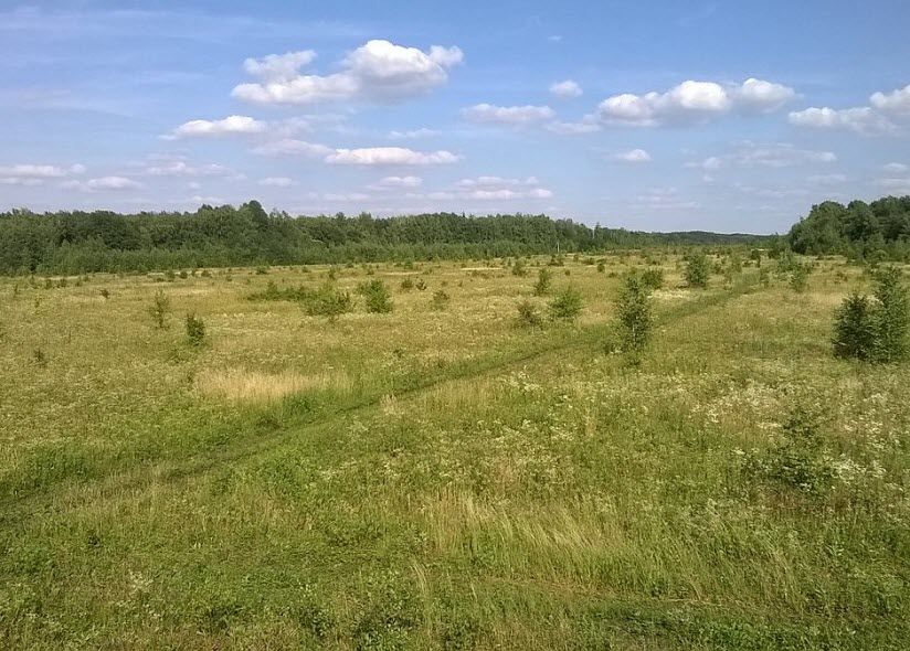 Жерновецкая дача