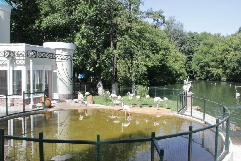 в Липецком зоопарке