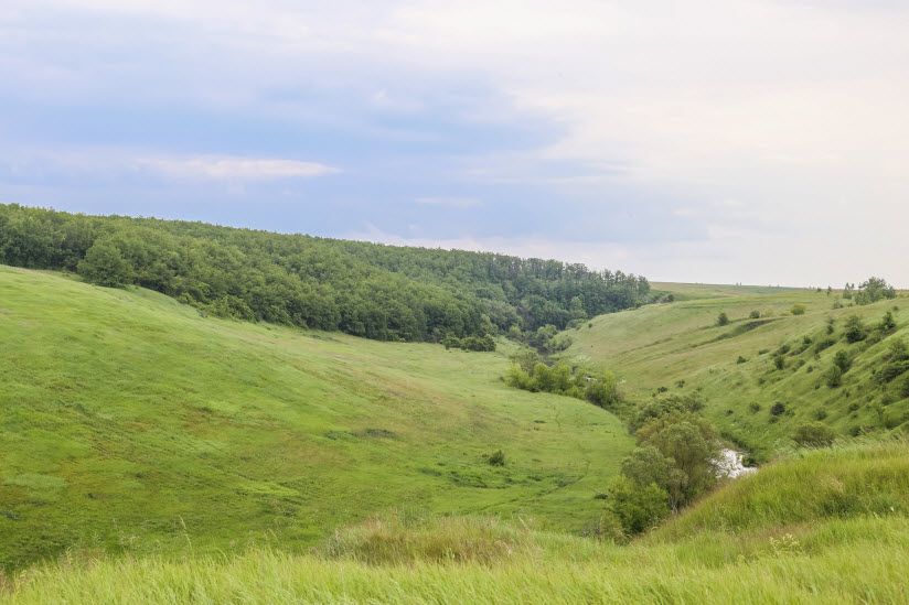 Урочище Аргамач-Пальна