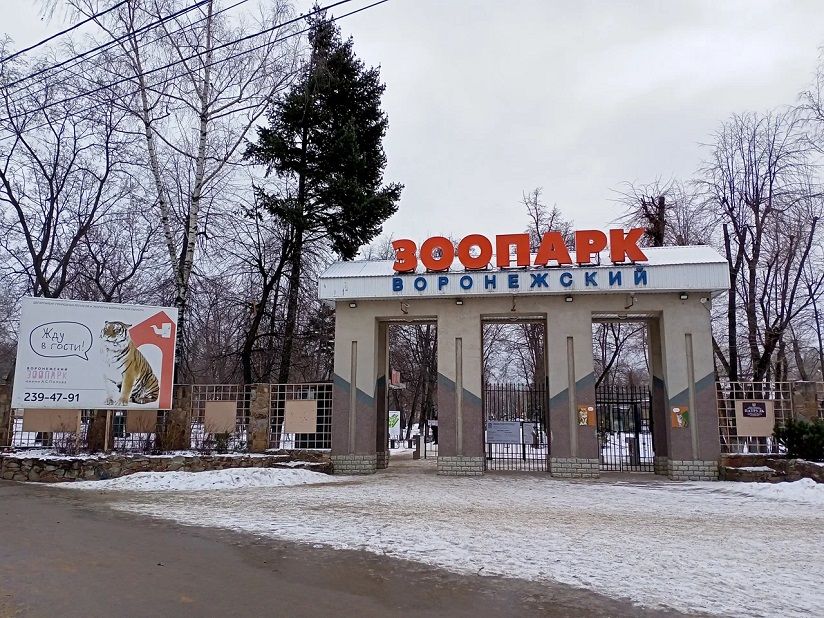 Воронежский зоопарк