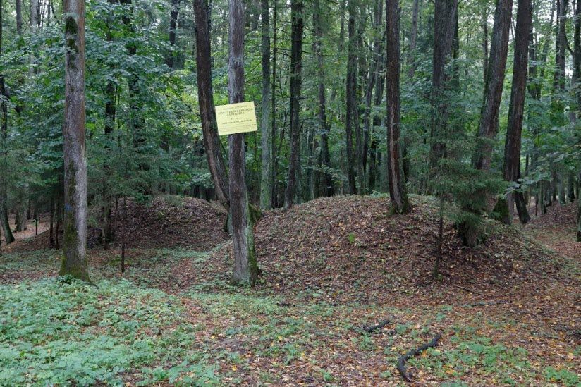 одинцовские курганы