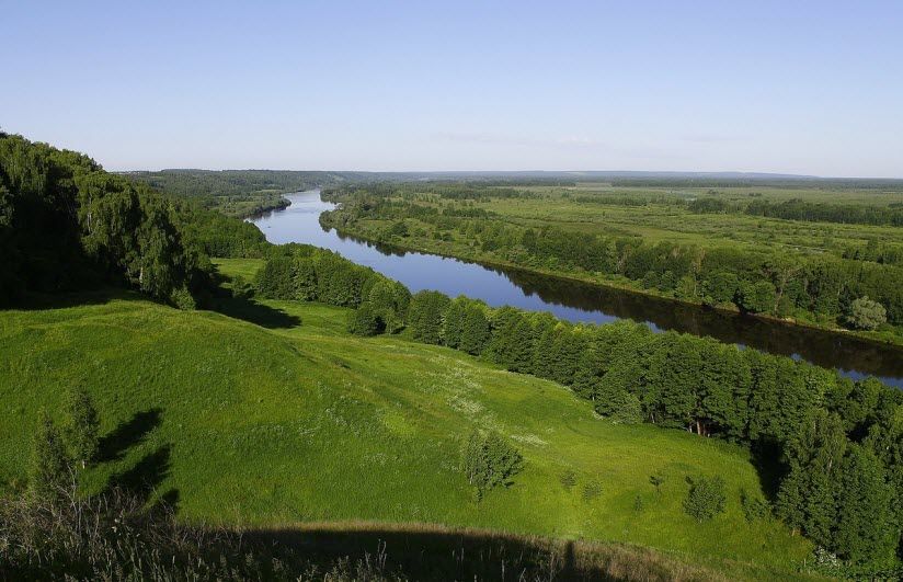 Лысая гора