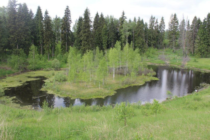 Поганая лохань
