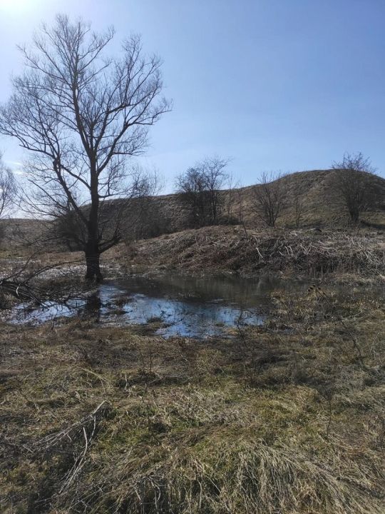 Городище Ошхануко