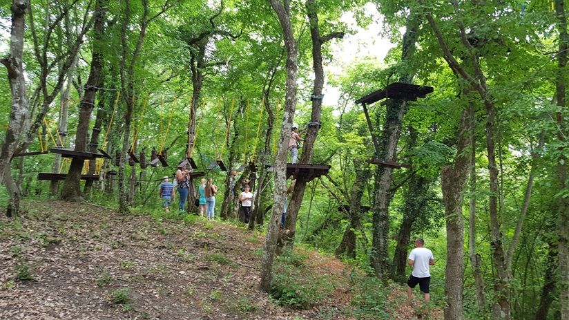 Веревочный парк «Желудь»