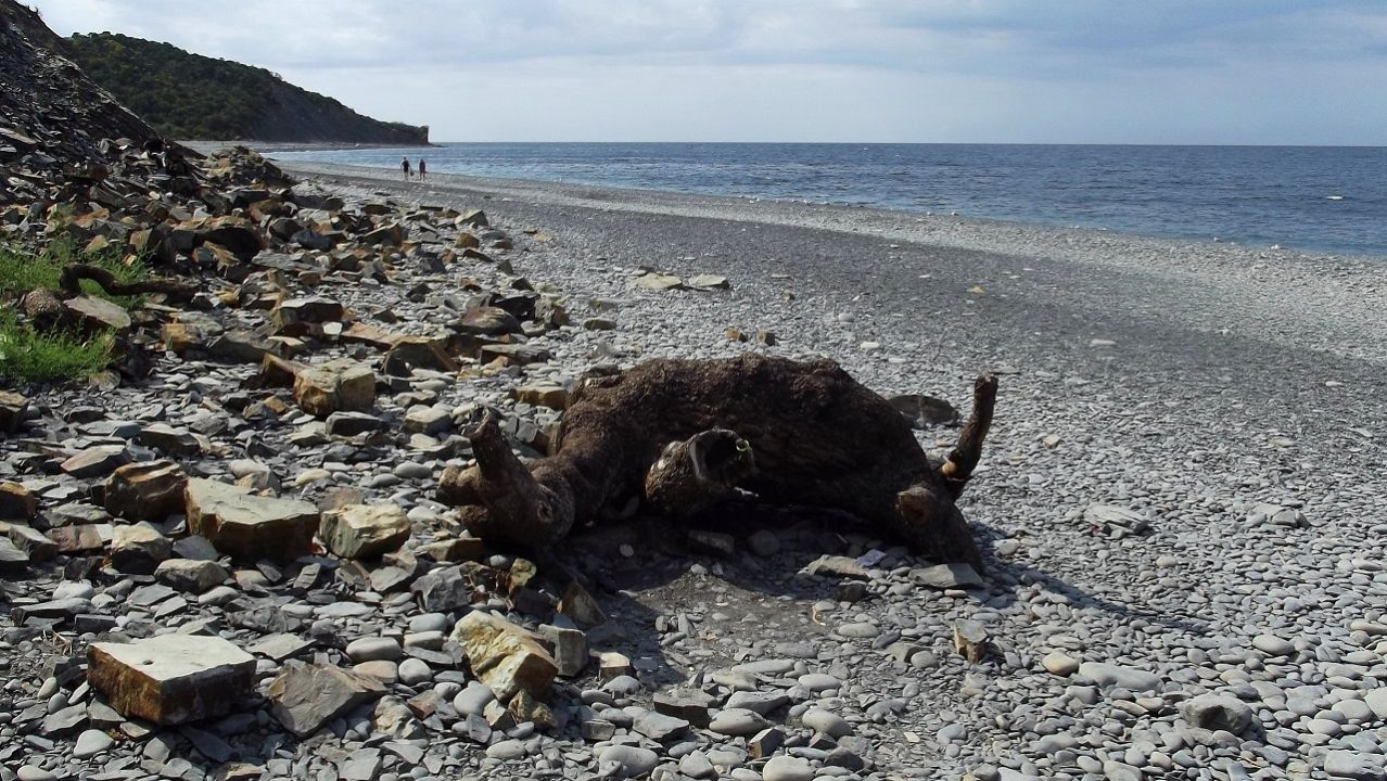Пляж у водопада Жемчужный
