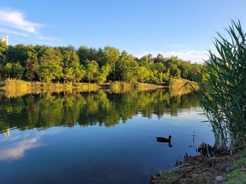 Парк «Кубань»