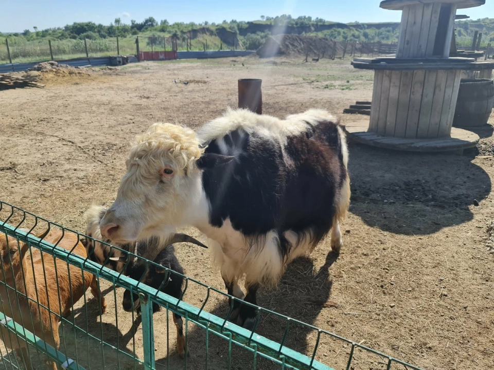 Зоопарк «Усадьба» (За Родину)