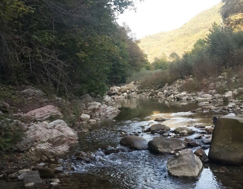 Река Цусхвадж