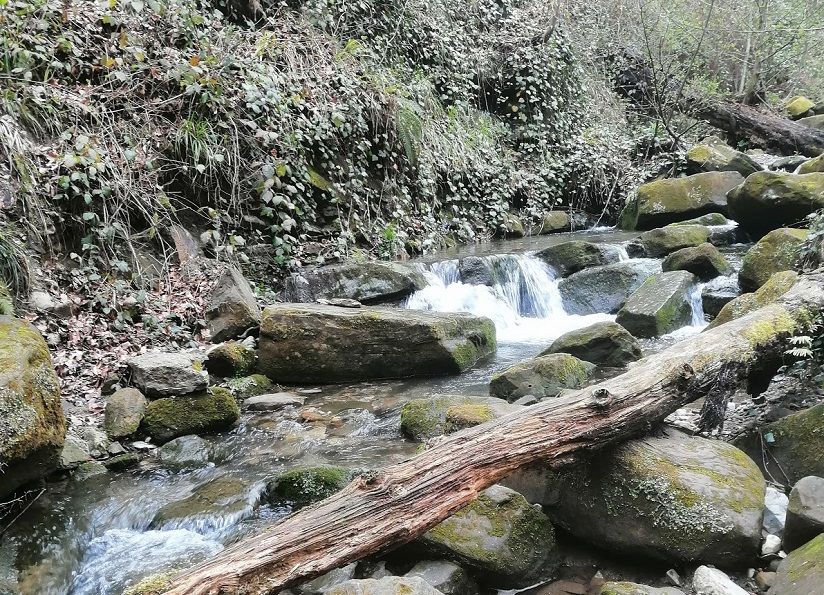 Река Годлих