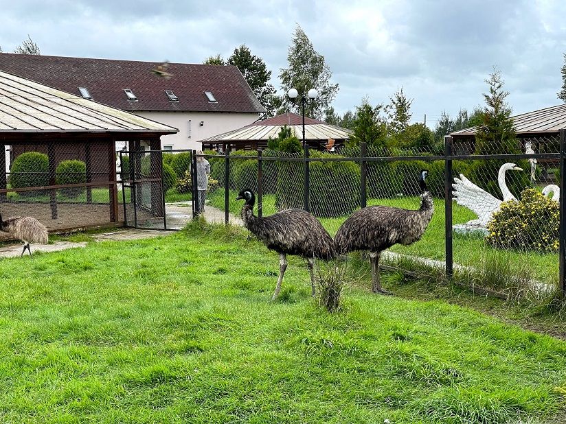 Парк птиц Приозерье