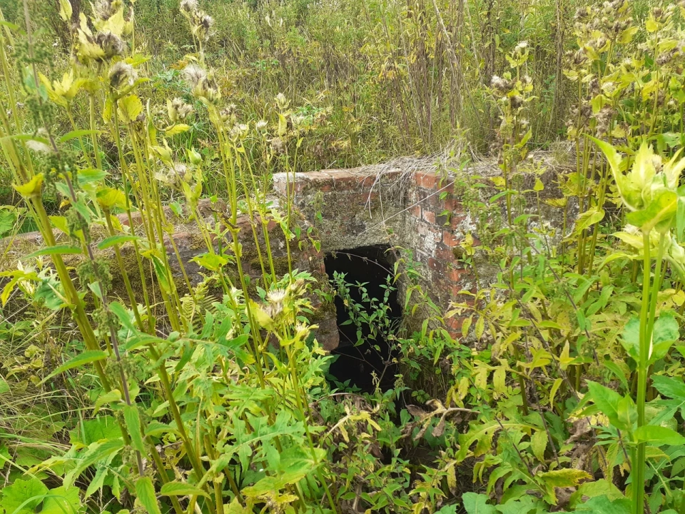 Родник Наполеона