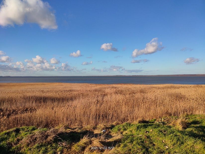 Витязевский лиман