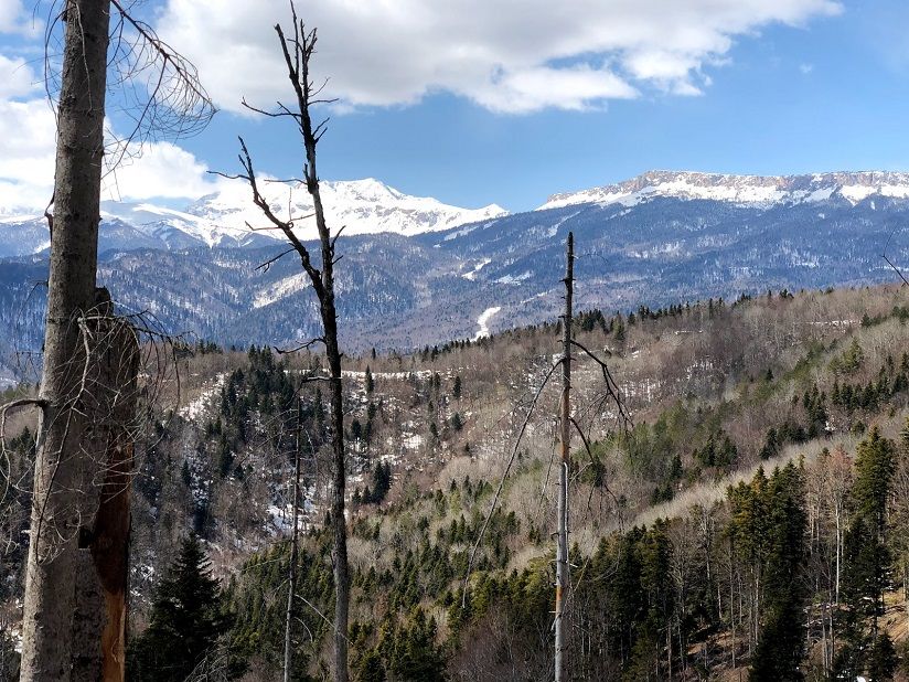 Гора Казачья