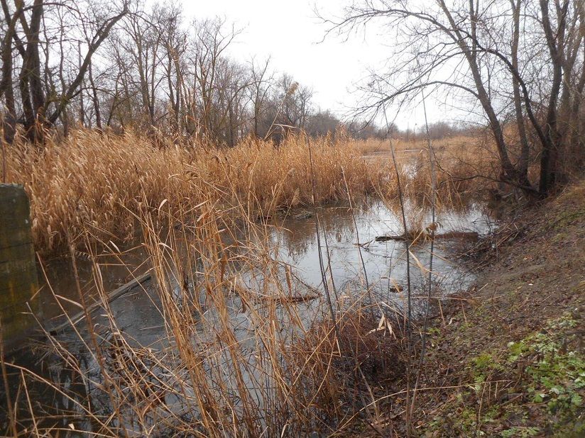 Озеро Кондол