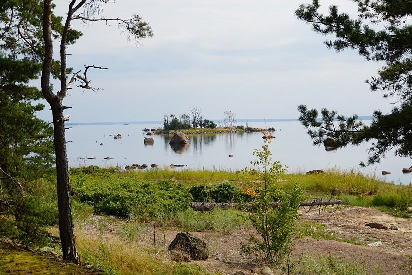 Остров Новик