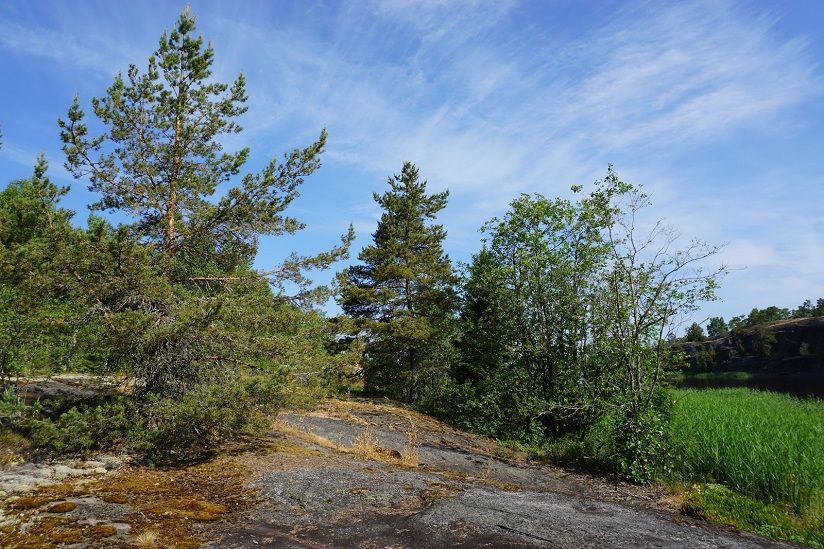 Остров Густой