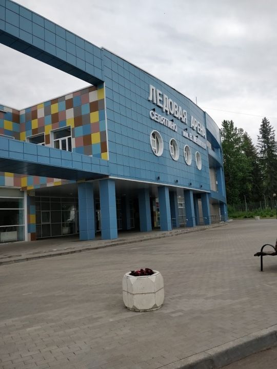 Ледовая арена им. В. Мышкина (Селятино)