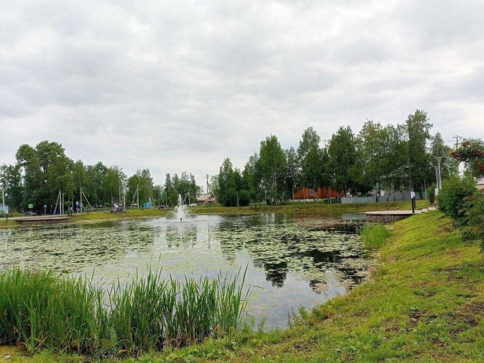 Городской пруд