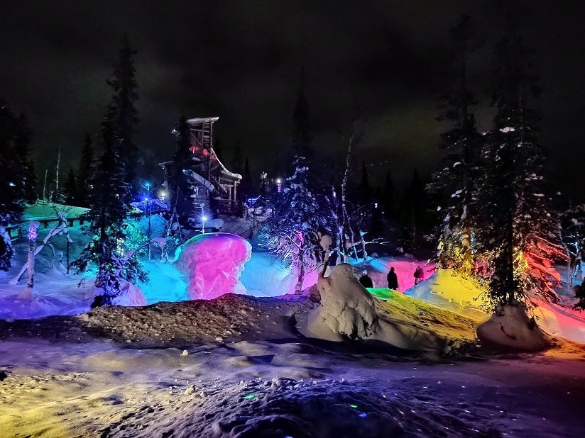 Таинственный лес (Кировск)